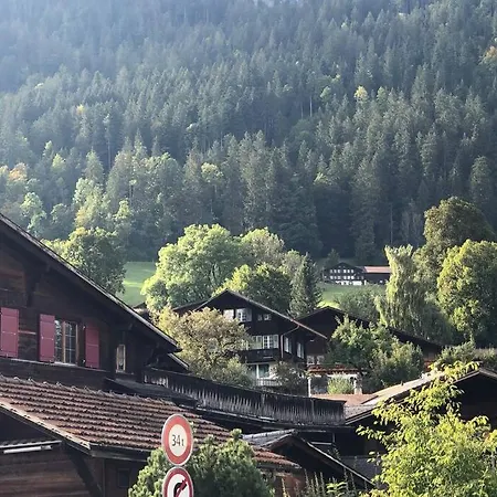 Region De Gstaad - Ultra Modern Apartment- Huge Roof Terrace - Great Views Zweisimmen Buitenkant foto
