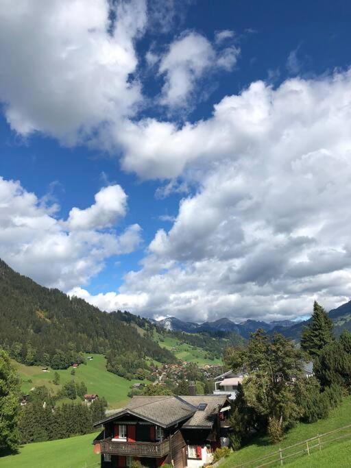 Region De Gstaad - Ultra Modern Apartment- Huge Roof Terrace - Great Views Zweisimmen