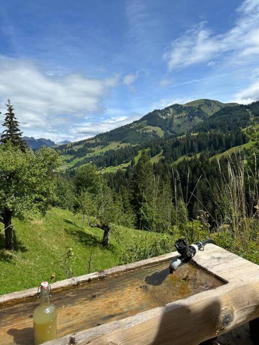 Apartment Region De Gstaad - Ultra Modern Apartment- Huge Roof Terrace - Great Views Zweisimmen