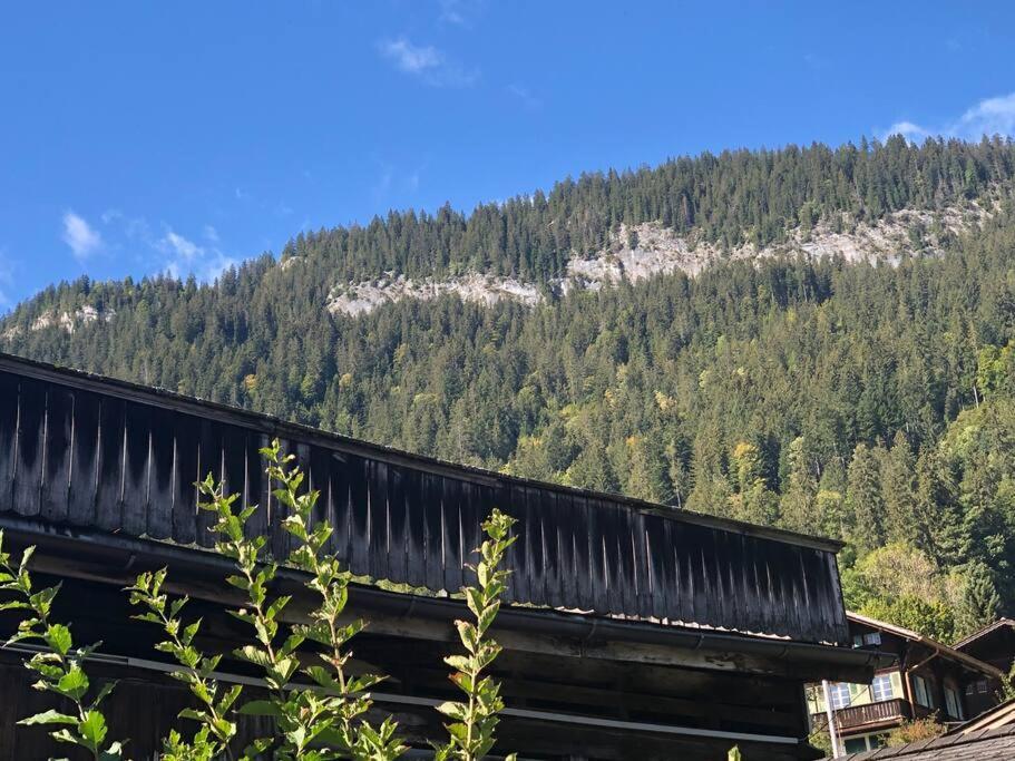 Region De Gstaad - Ultra Modern Apartment- Huge Roof Terrace - Great Views
